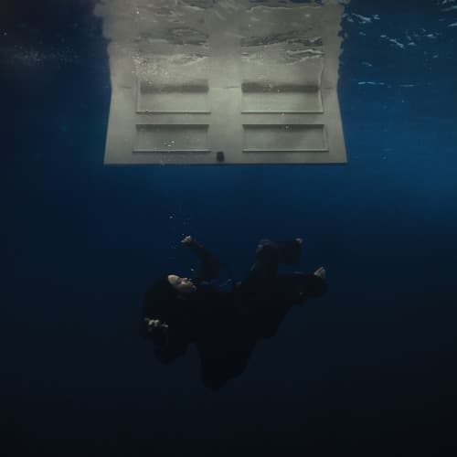 BIRDS OF A FEATHER cover art